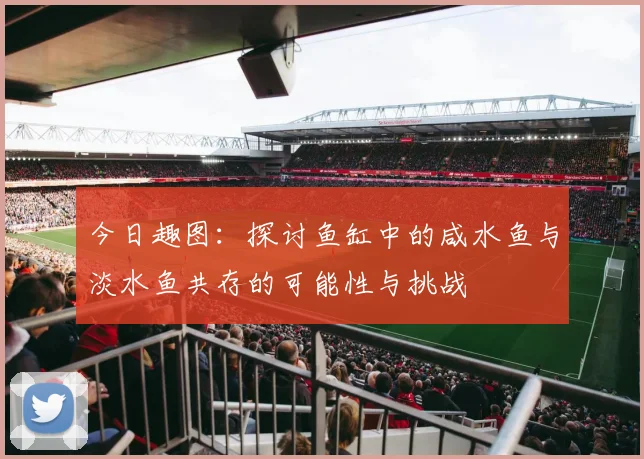 今日趣图：探讨鱼缸中的咸水鱼与淡水鱼共存的可能性与挑战