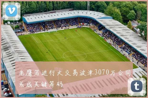 老鹰若进行大交易波津3070万合同或成关键筹码