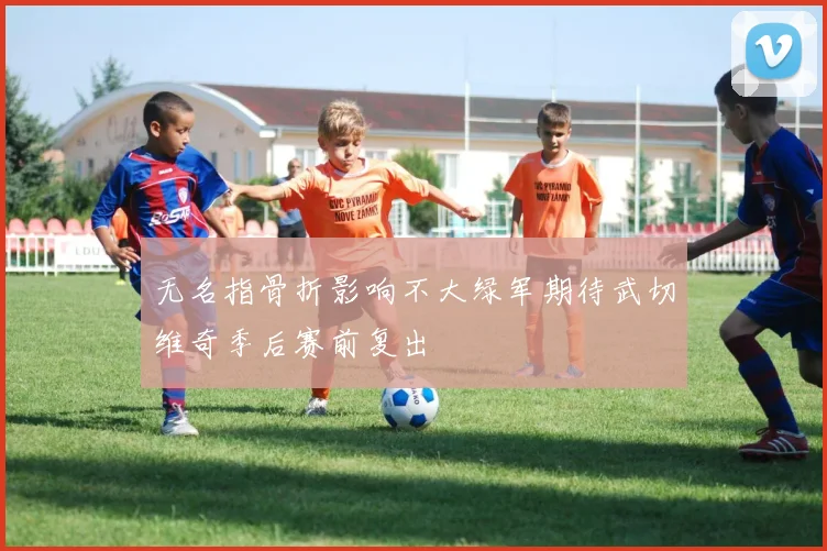 无名指骨折影响不大绿军期待武切维奇季后赛前复出