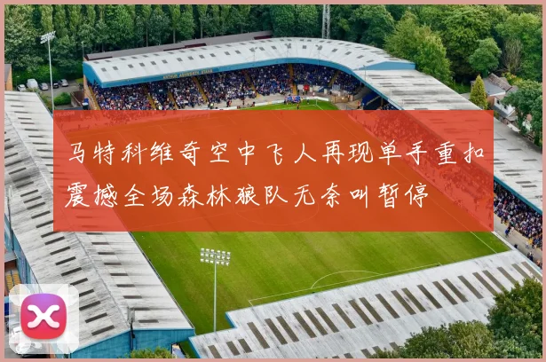 马特科维奇空中飞人再现单手重扣震撼全场森林狼队无奈叫暂停