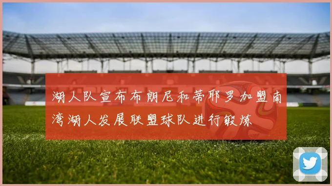 湖人队宣布布朗尼和蒂耶罗加盟南湾湖人发展联盟球队进行锻炼