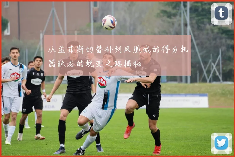 从孟菲斯的替补到凤凰城的得分机器狄龙的蜕变之路揭秘