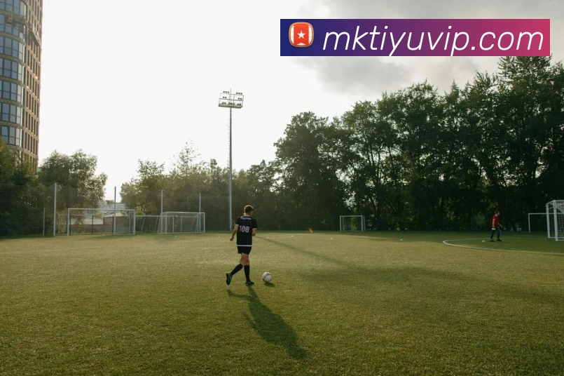 多媒体互动体验