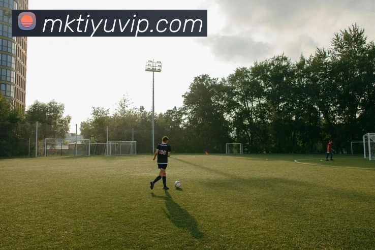 数据防护可视化